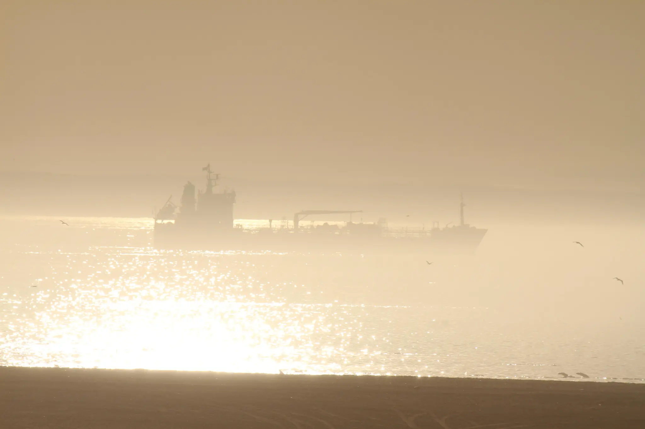 Ships entering the bay through mist