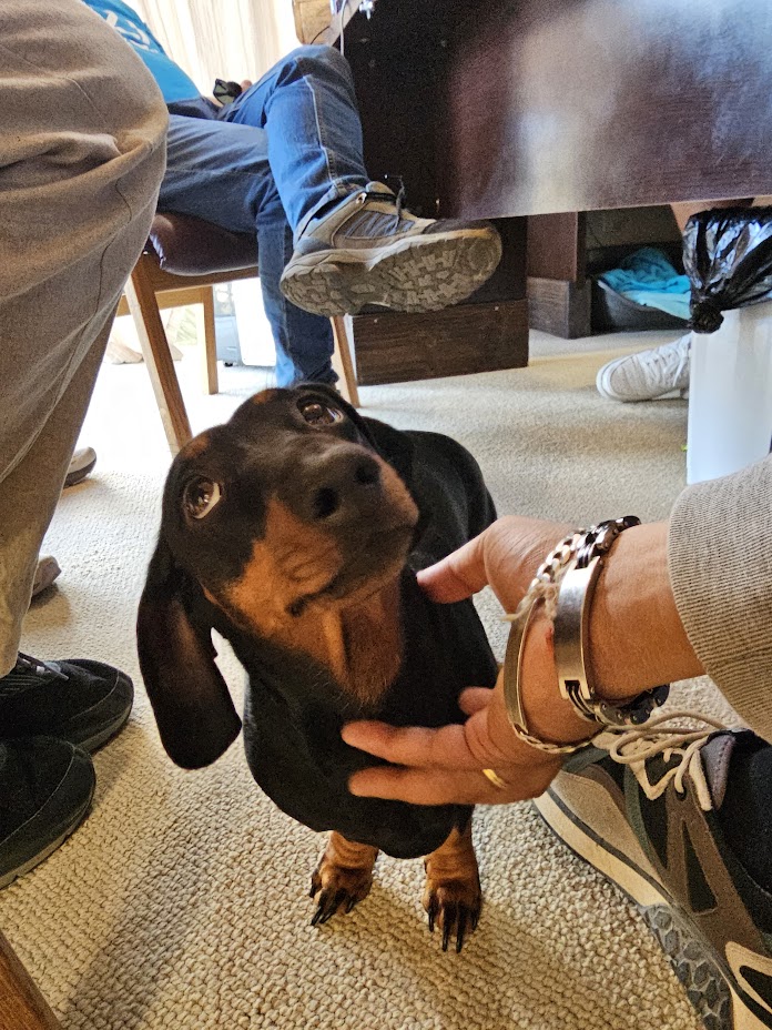 What did you bring me