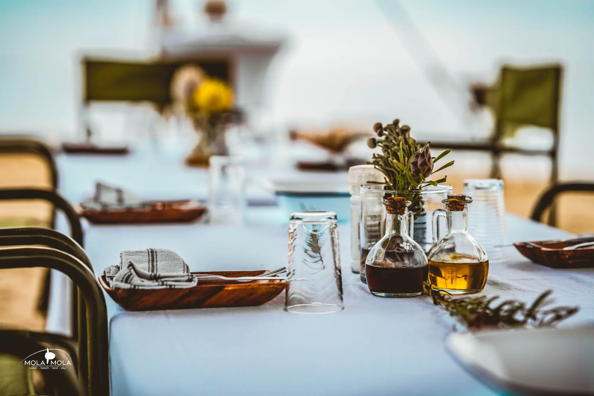 Mola Mola experience